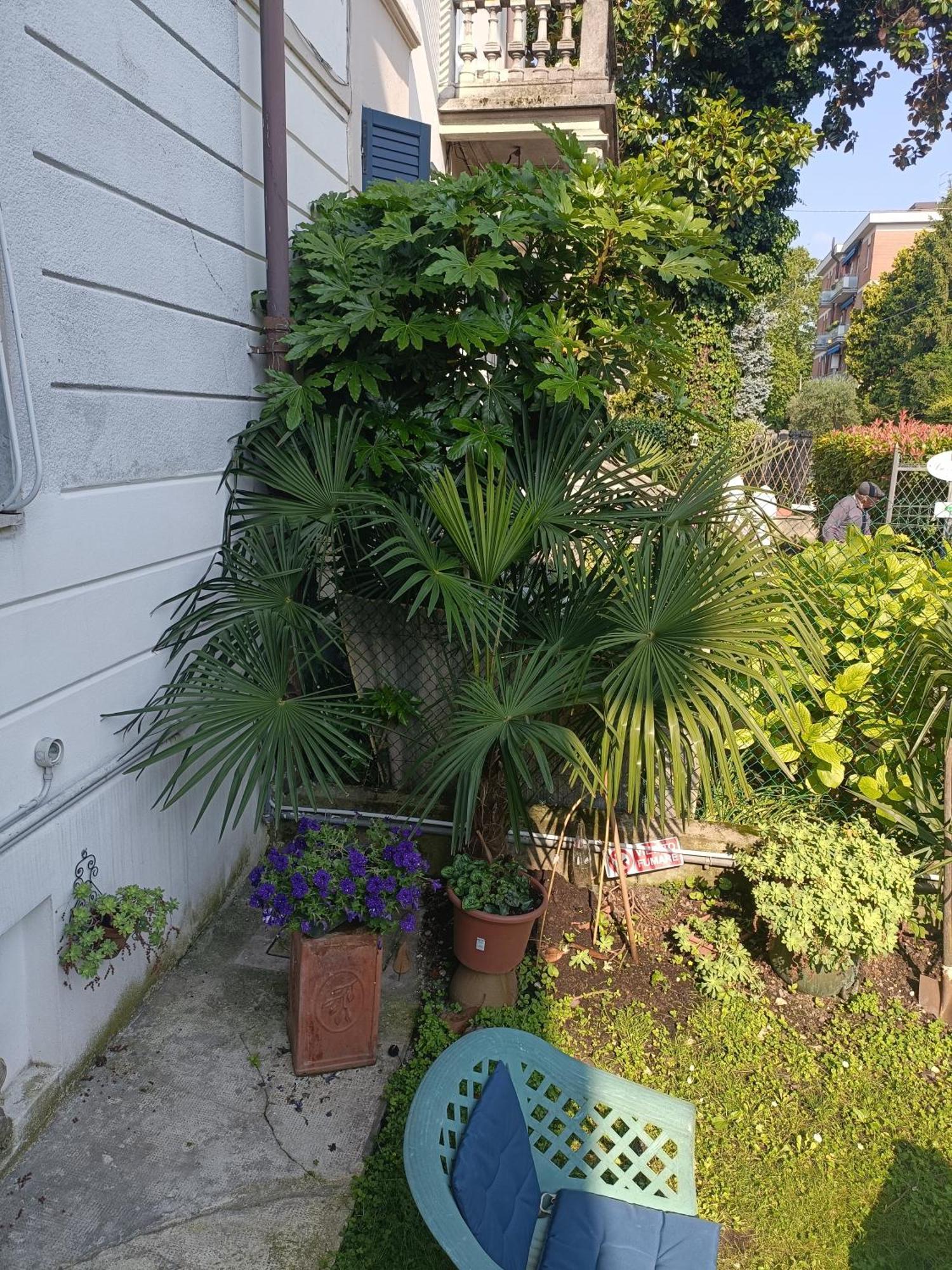 B&B Mavipagi Verona Exterior foto